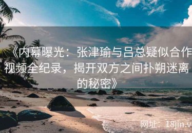 《内幕曝光：张津瑜与吕总疑似合作视频全纪录，揭开双方之间扑朔迷离的秘密》