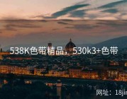 538K色带精品，530k3+色带