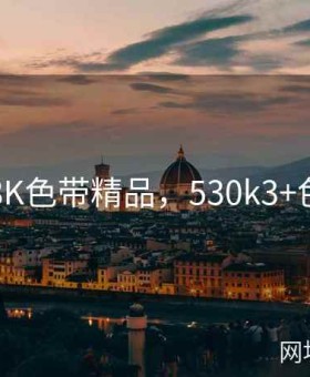 538K色带精品，530k3+色带