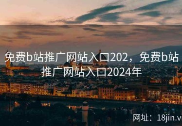 免费b站推广网站入口202，免费b站推广网站入口2024年