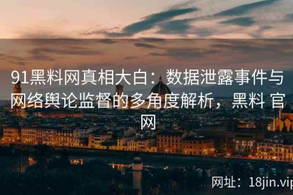 91黑料网真相大白：数据泄露事件与网络舆论监督的多角度解析，黑料 官网