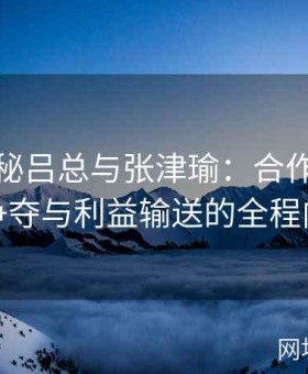 深度揭秘吕总与张津瑜：合作背后权力争夺与利益输送的全程内幕