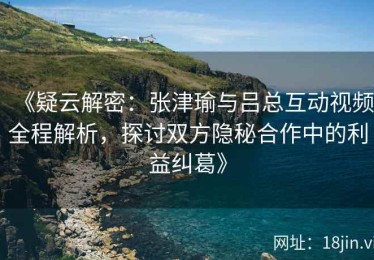 《疑云解密：张津瑜与吕总互动视频全程解析，探讨双方隐秘合作中的利益纠葛》