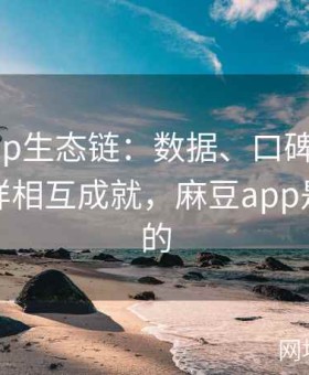 麻豆app生态链：数据、口碑、粉丝文化怎样相互成就，麻豆app是干什么的