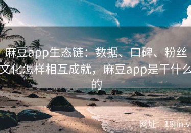 麻豆app生态链：数据、口碑、粉丝文化怎样相互成就，麻豆app是干什么的