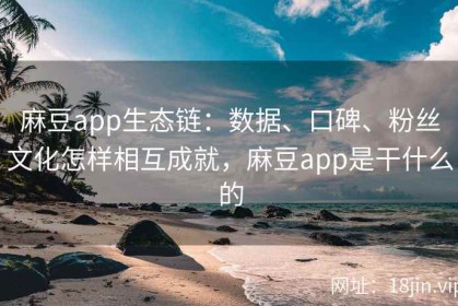 麻豆app生态链：数据、口碑、粉丝文化怎样相互成就，麻豆app是干什么的