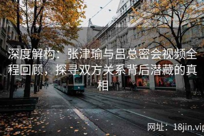 深度解构：张津瑜与吕总密会视频全程回顾，探寻双方关系背后潜藏的真相
