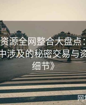 《黑料资源全网整合大盘点：揭秘黑料事件中涉及的秘密交易与资本运作细节》