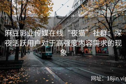 麻豆影业传媒在线“夜猫”社群：深夜活跃用户对于高强度内容需求的现象