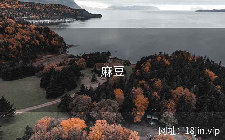 麻豆