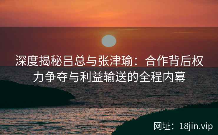 深度揭秘吕总与张津瑜：合作背后权力争夺与利益输送的全程内幕