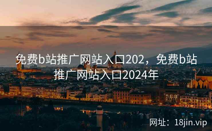 免费b站推广网站入口202，免费b站推广网站入口2024年