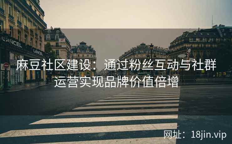 麻豆社区建设：通过粉丝互动与社群运营实现品牌价值倍增